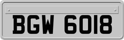 BGW6018