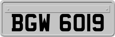 BGW6019
