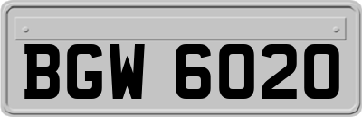 BGW6020