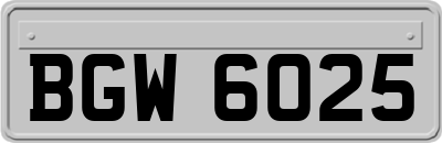 BGW6025