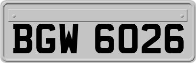 BGW6026