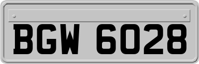 BGW6028