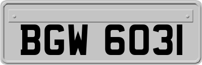 BGW6031