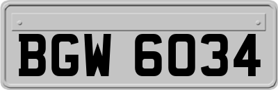 BGW6034
