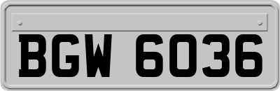 BGW6036