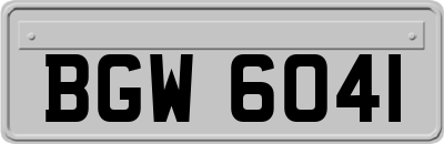 BGW6041