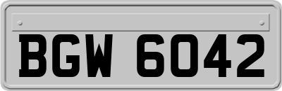 BGW6042