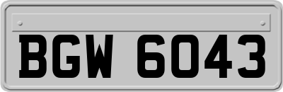 BGW6043