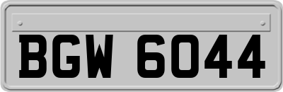 BGW6044