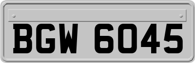 BGW6045