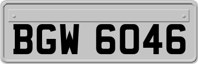 BGW6046