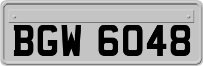 BGW6048
