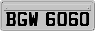 BGW6060