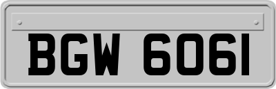 BGW6061