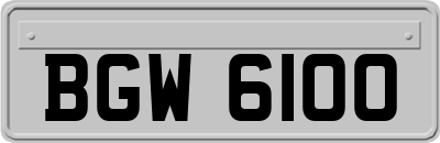 BGW6100