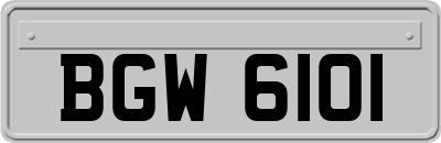 BGW6101
