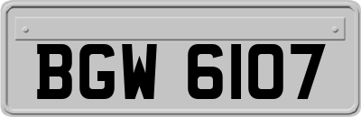 BGW6107
