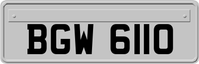 BGW6110