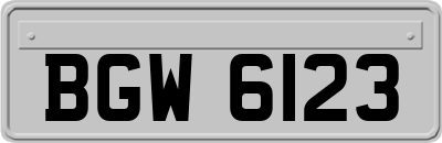 BGW6123