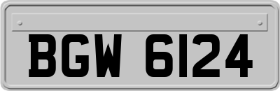 BGW6124