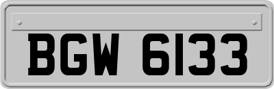 BGW6133