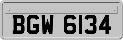 BGW6134
