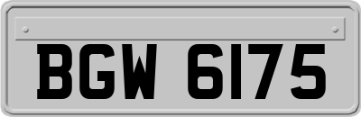 BGW6175