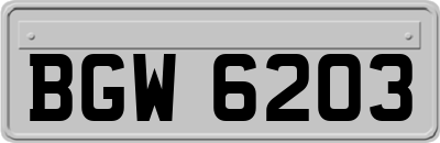 BGW6203