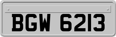 BGW6213