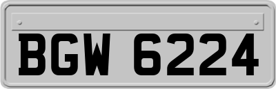 BGW6224