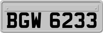 BGW6233