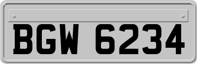 BGW6234