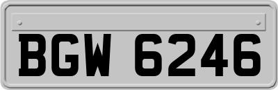BGW6246