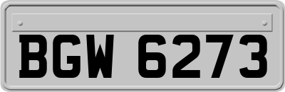 BGW6273