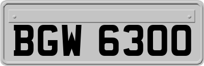 BGW6300