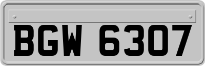 BGW6307