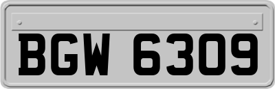 BGW6309