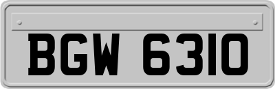 BGW6310