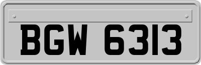 BGW6313