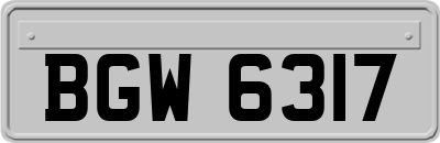 BGW6317