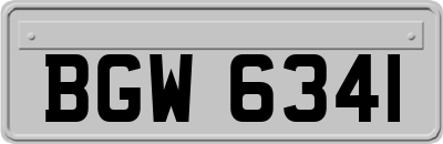 BGW6341