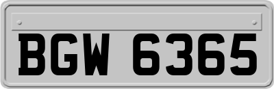 BGW6365