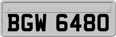 BGW6480
