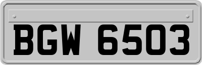 BGW6503
