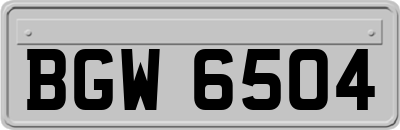 BGW6504