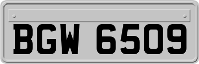 BGW6509