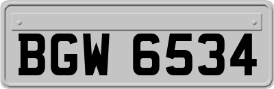BGW6534