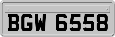 BGW6558