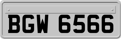 BGW6566