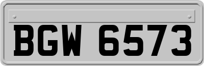 BGW6573